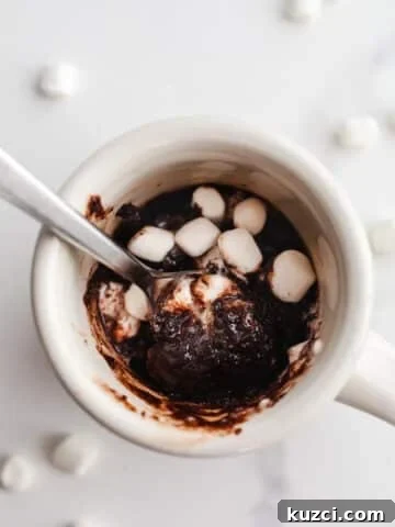 Chocolate cake in a mug.