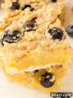 Blueberry Lemon Bars