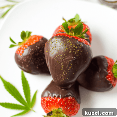 Quick Cannabis Chocolate Recipe for Homemade Edibles 8 A white plate topped with five cannabis chocolate covered strawberries with a fresh cannabis leaf