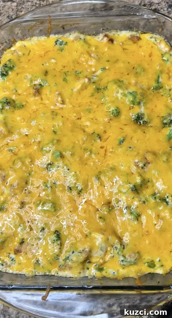 Chicken Divan topped with cheddar cheese