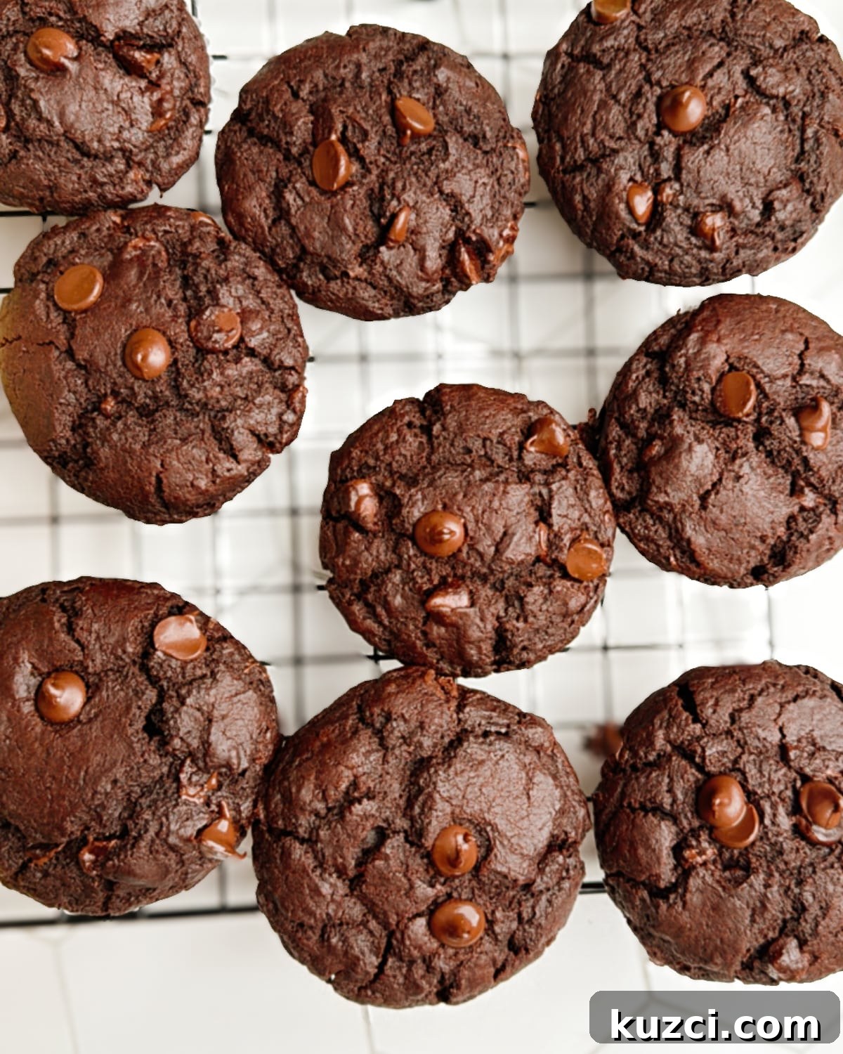 Double Chocolate Muffins with Rich Cocoa and Chocolate Chips 2 Double Chocolate Muffins on a cooling rack.