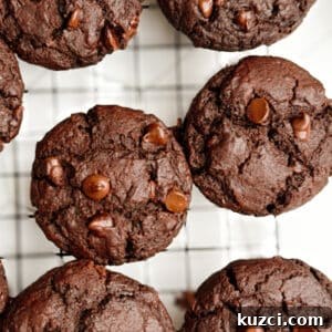 Double Chocolate Muffins with Rich Cocoa and Chocolate Chips 5 Double Chocolate Muffins on a cooling rack.