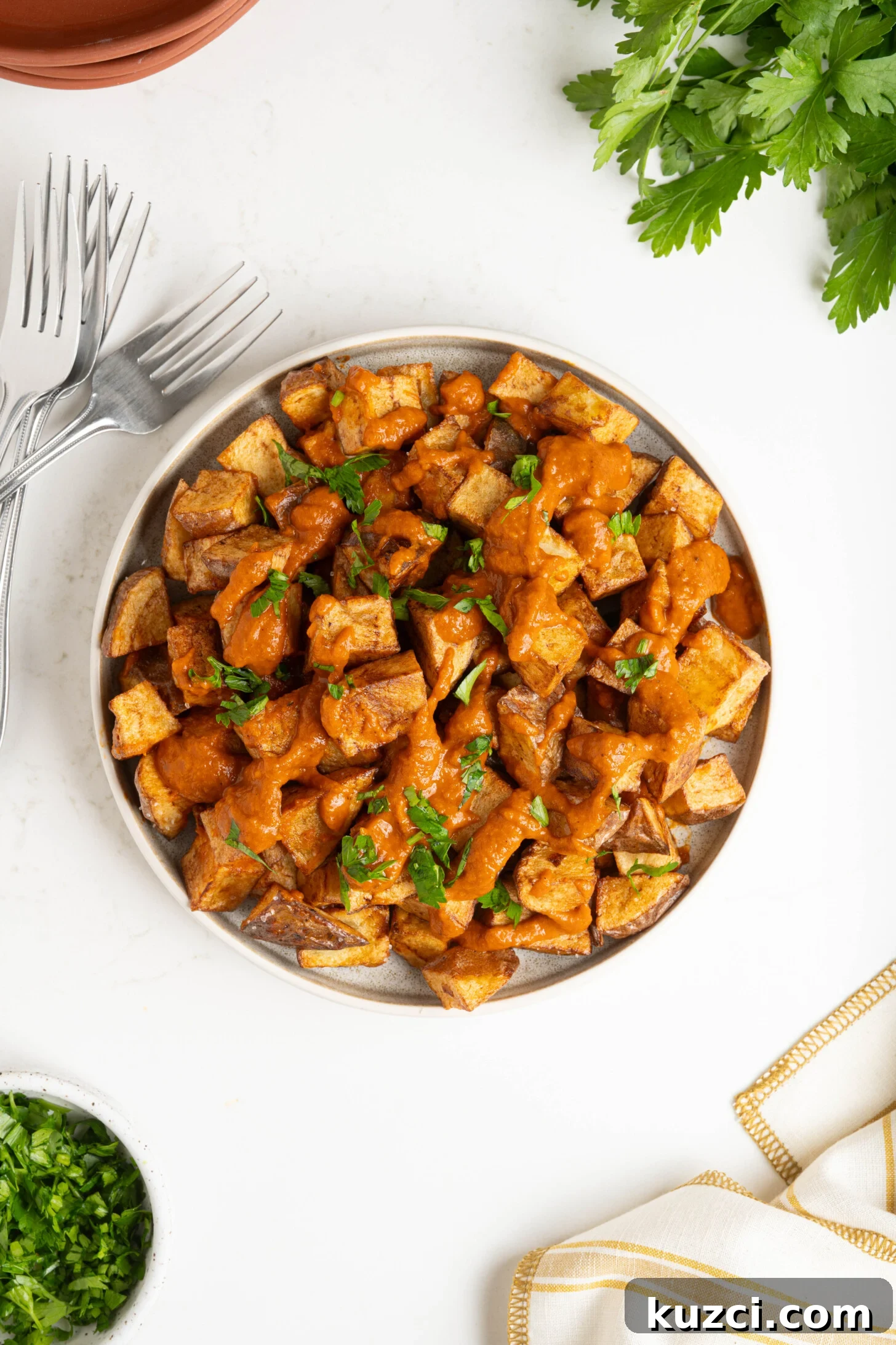 Patatas Bravas Recipe with Spicy Spanish Potatoes 12 A plate of patatas bravas.