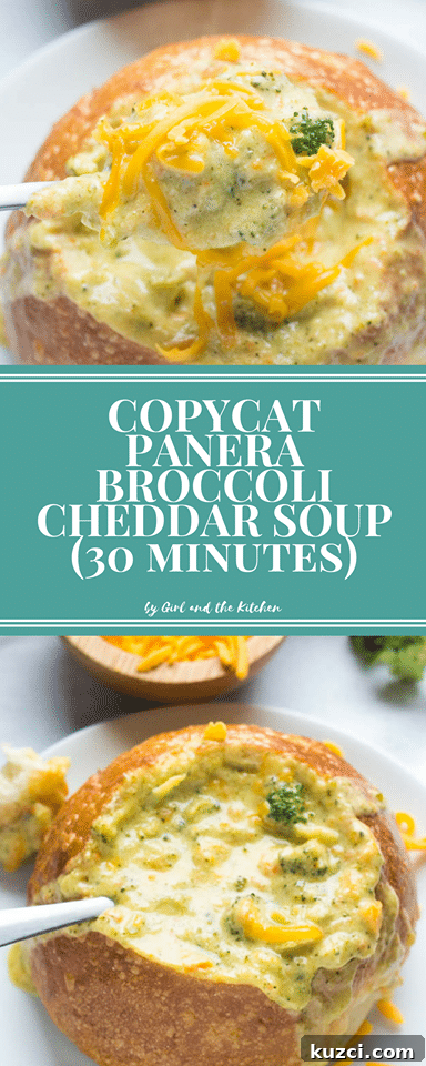 30-Minute Copycat Panera Broccoli Cheddar Soup Recipe 8 img 5078 10