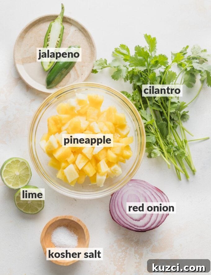 Fresh Pineapple Salsa with Jalapeño and Lime 3 Labeled overhead photo of cubed pineapple, a jalapeno pepper, red onion, fresh cilantro, a fresh lime, and kosher salt.