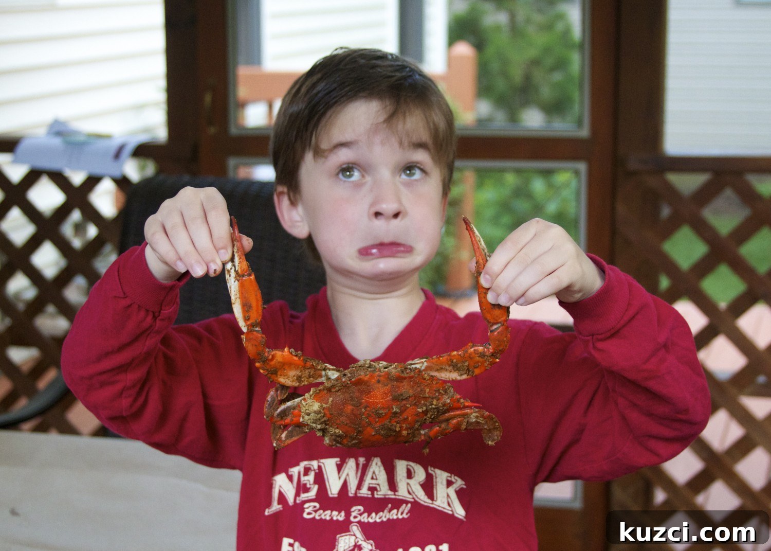 Child holding a steamed crab