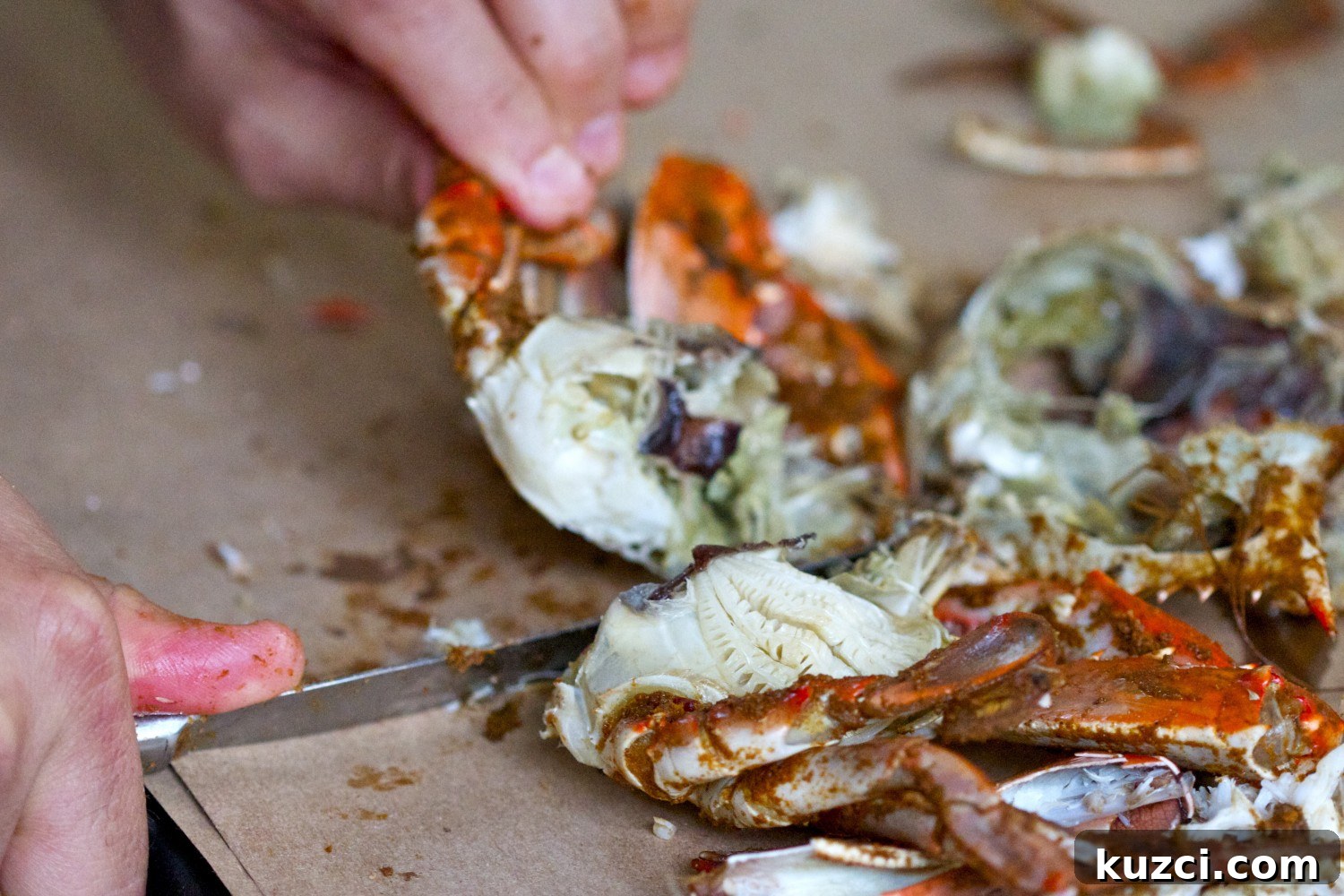 Steamed crab cut in half