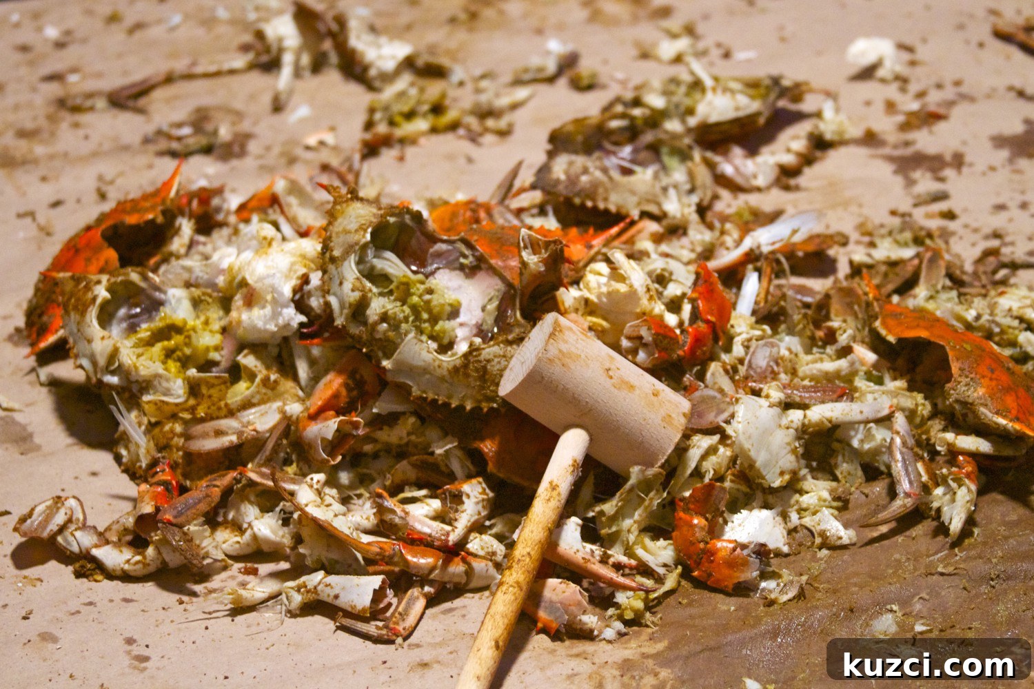 pile of eaten crabs Pile of shells after eating steamed crabs