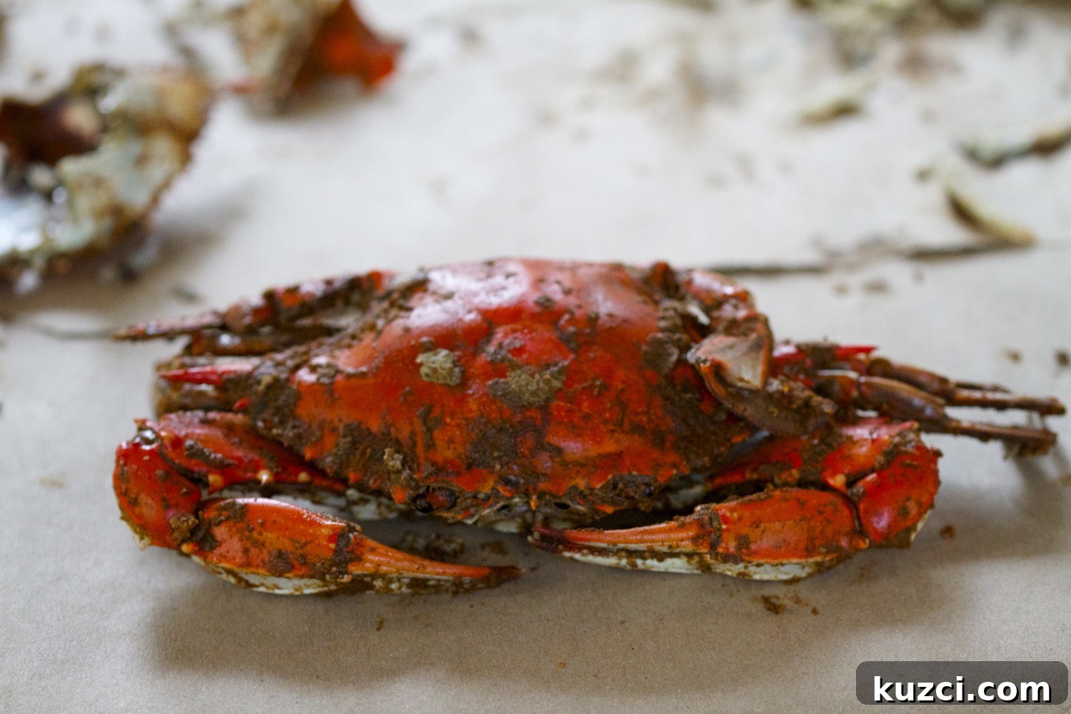 Large red steamed crab on a table