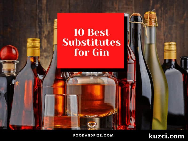 10 Best Substitutes for Gin