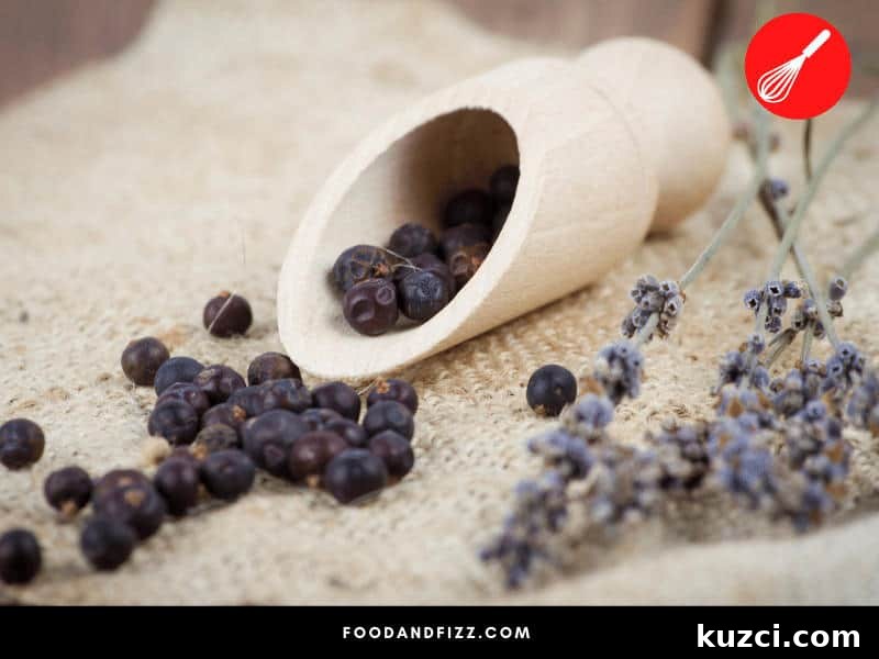 Juniper berries are a signature botanical used to flavor gin.