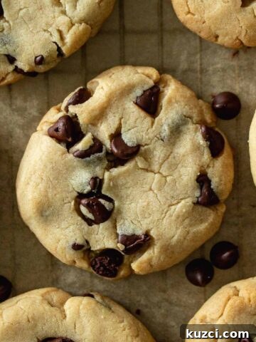 Milk powder chocolate chip cookies.