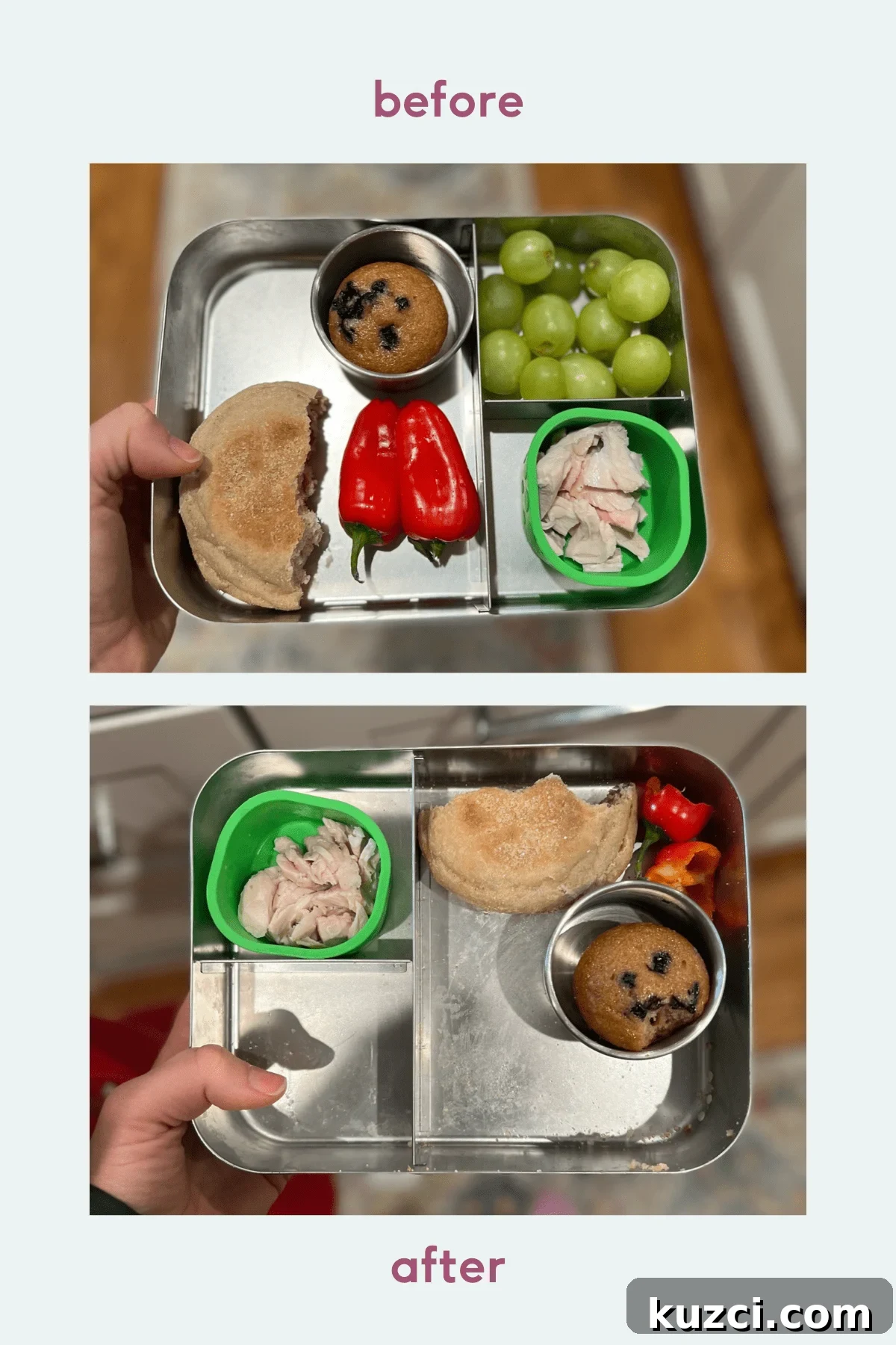balanced lunch for kids