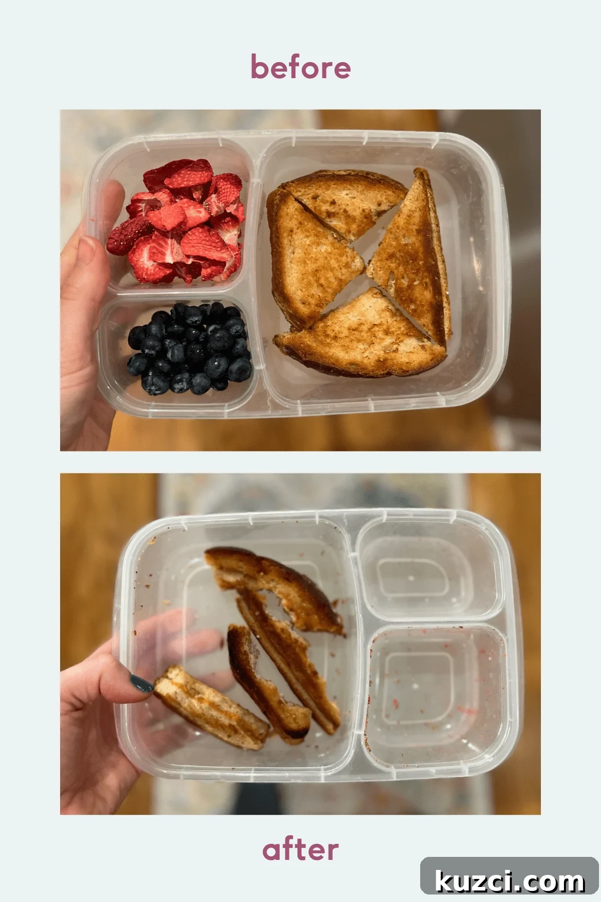 easy packed lunch