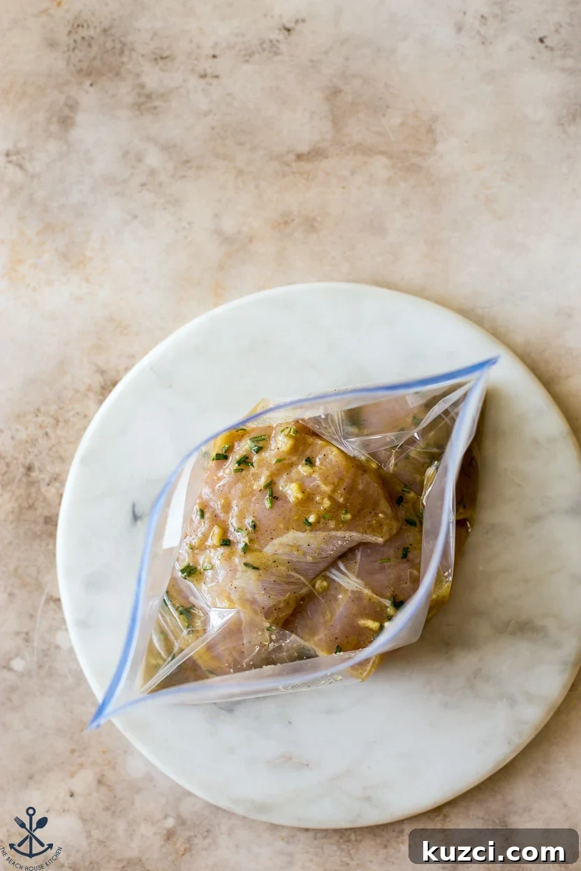 Overhead photo of a ziploc bag filled with turkey tenderloins and marinade