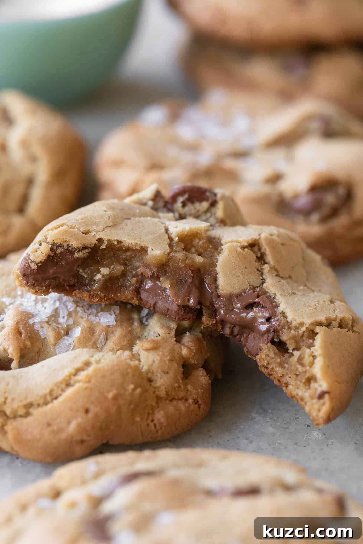 Cookie Recipes for Holidays, Parties, and Everyday Treats 2 Chocolate chip cookies made with no butter.