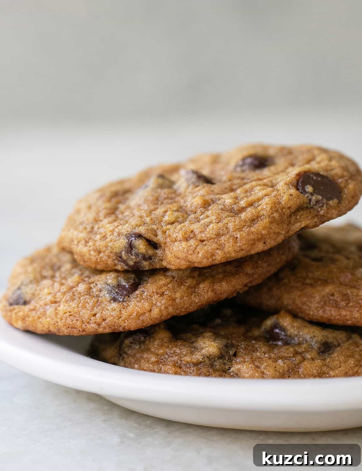 Cookie Recipes for Holidays, Parties, and Everyday Treats 15 Pumpkin chocolate chip cookies recipe.