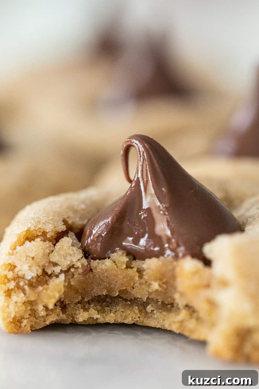 Cookie Recipes for Holidays, Parties, and Everyday Treats 16 Peanut butter blossoms cookies.
