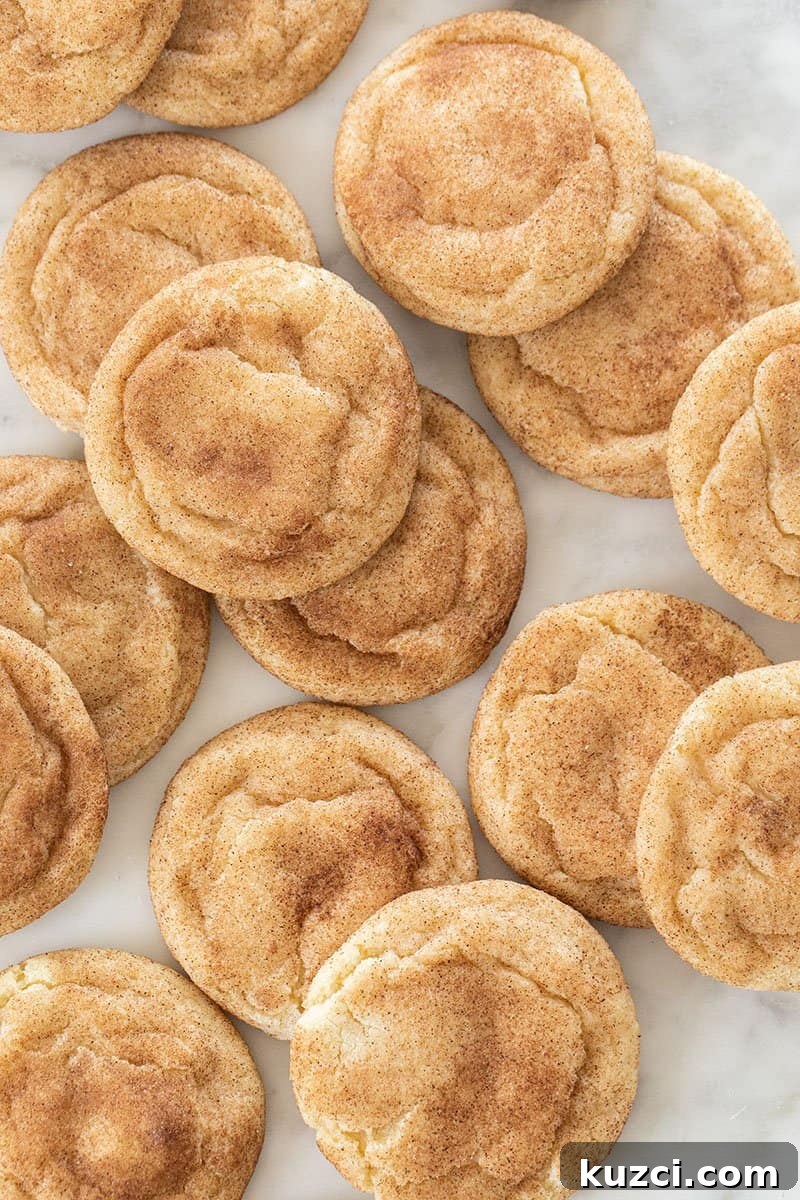 Cookie Recipes for Holidays, Parties, and Everyday Treats 3 Snickerdoodle cookie recipe.