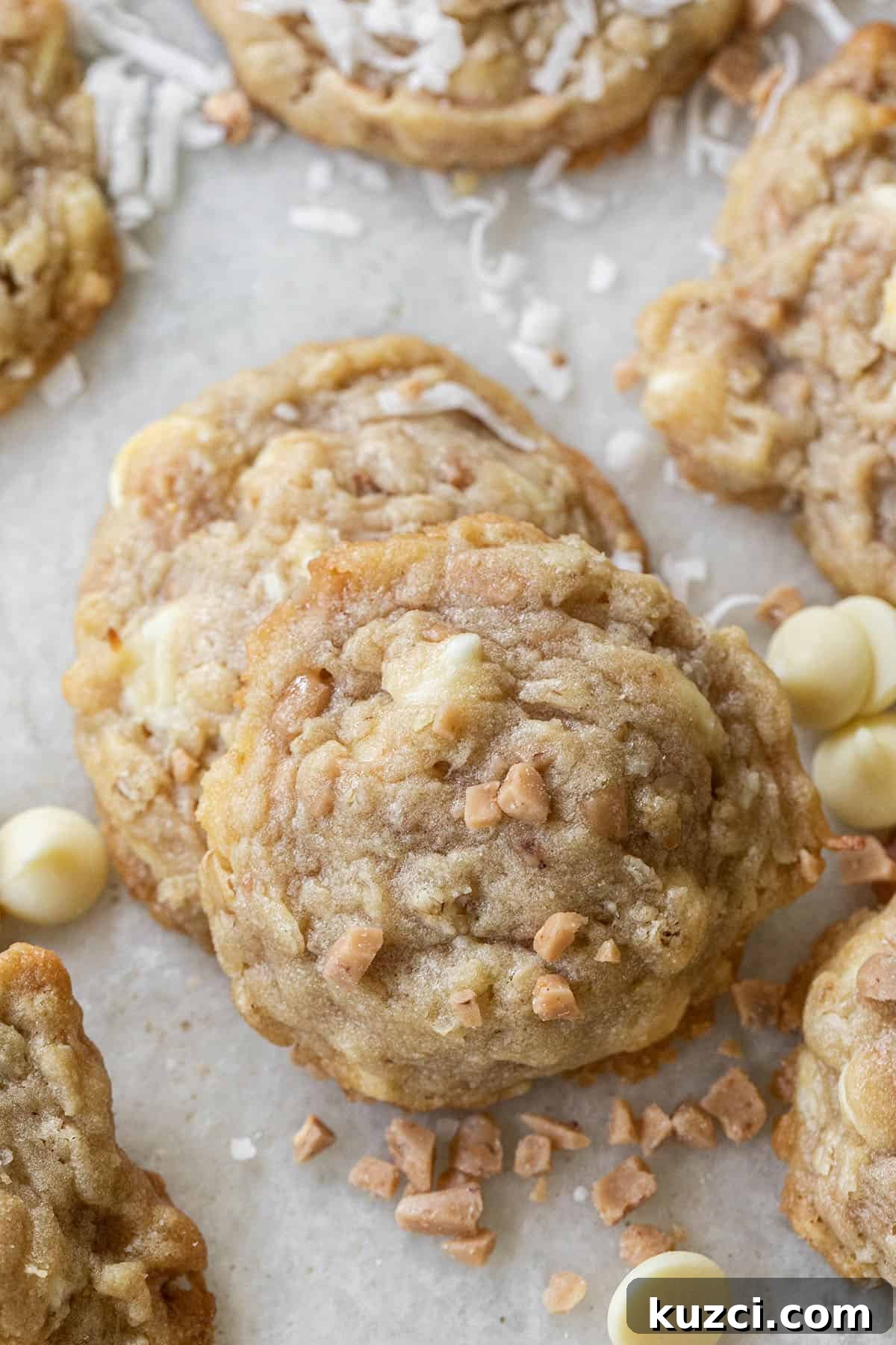 Cookie Recipes for Holidays, Parties, and Everyday Treats 8 kitchen sink cookies recipe.