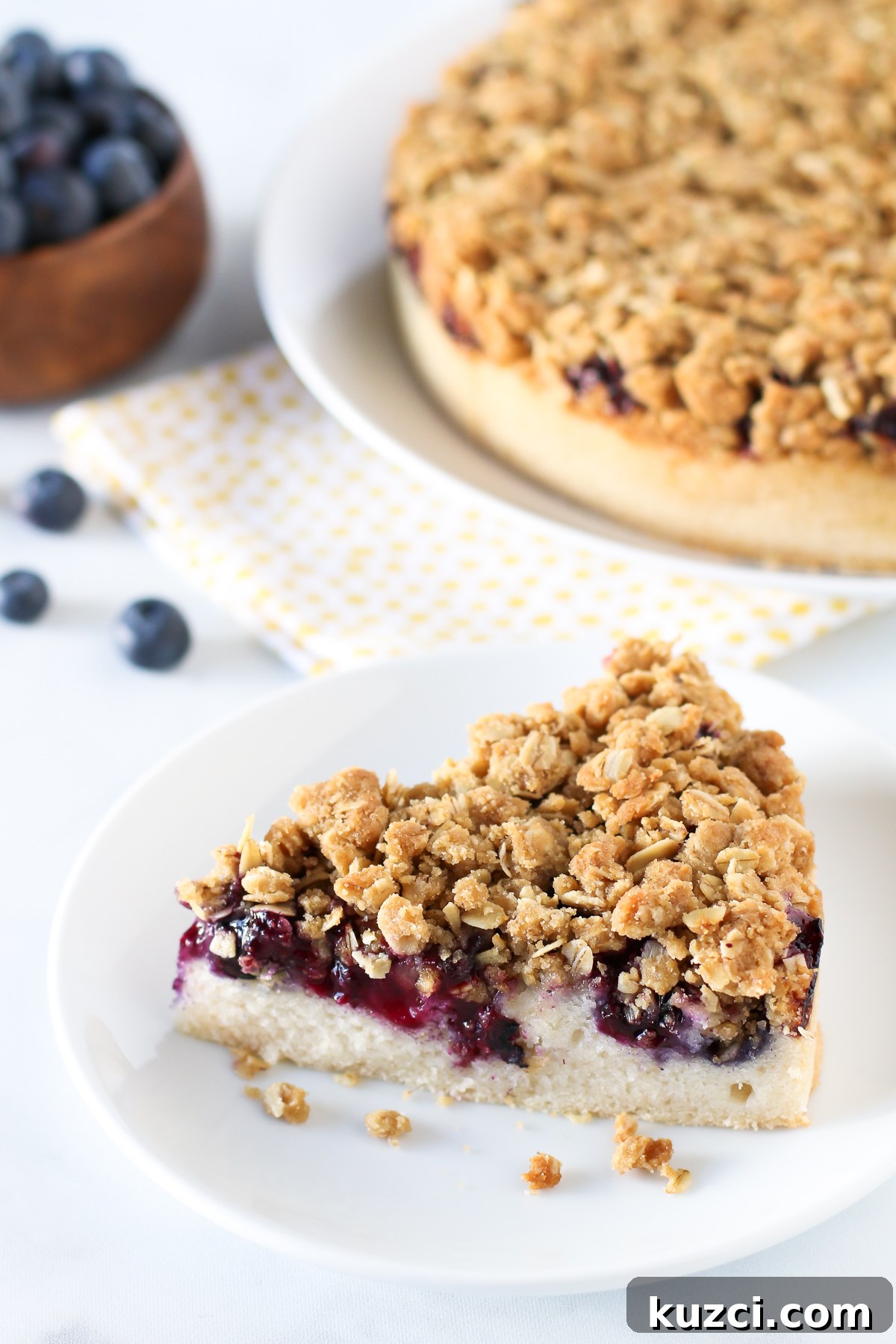 Gluten Free Vegan Blueberry Coffee Cake. Light vanilla cake with a layer of fresh, juicy blueberries and an oat crumb topping.