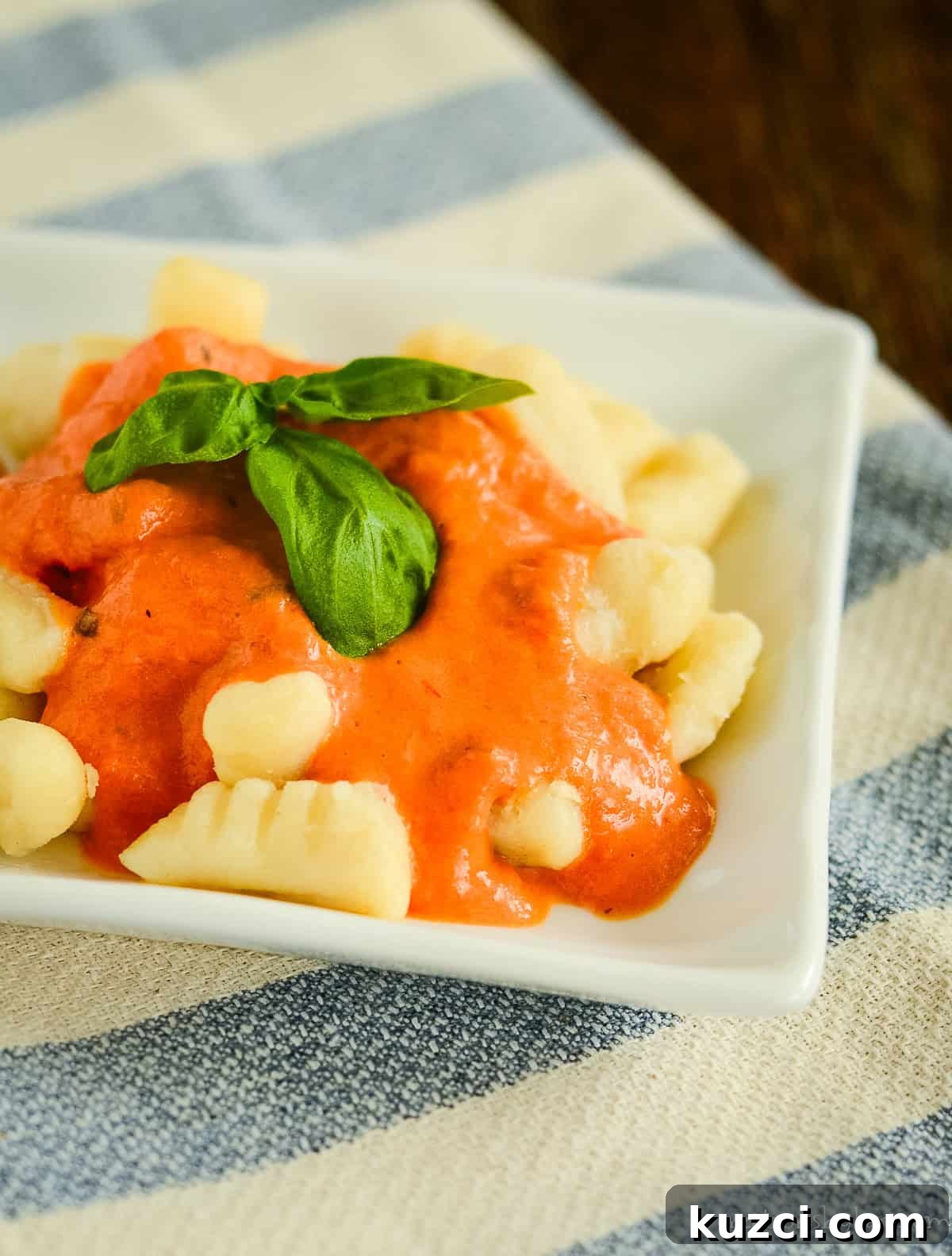 Rosa Sauce Recipe: Creamy Pink Tomato Pasta Sauce 3 gnocchi with homemade rosa sauce and fresh basil
