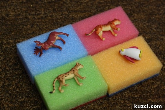 4 coloured sponges with toy animals on them 