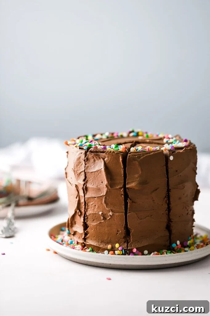 Classic Birthday Cake with Two-Ingredient Frosting 2 classic birthday cake recipe