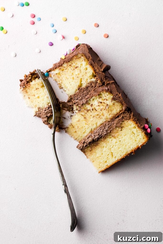 Classic Birthday Cake with Two-Ingredient Frosting 3 classic birthday cake recipe