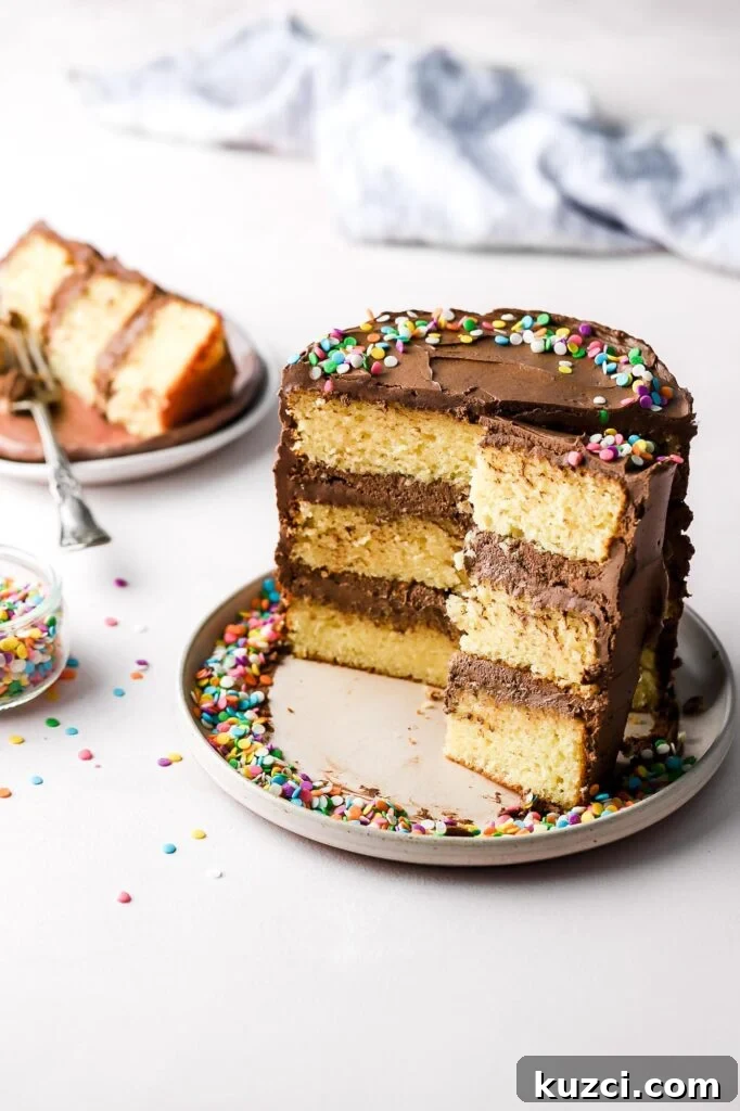 Classic Birthday Cake with Two-Ingredient Frosting 4 birthday cake with 2 ingredient frosting