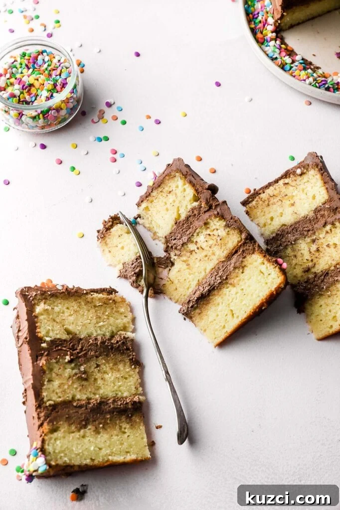 Classic Birthday Cake with Two-Ingredient Frosting 9 birthday cake with 2 ingredient frosting