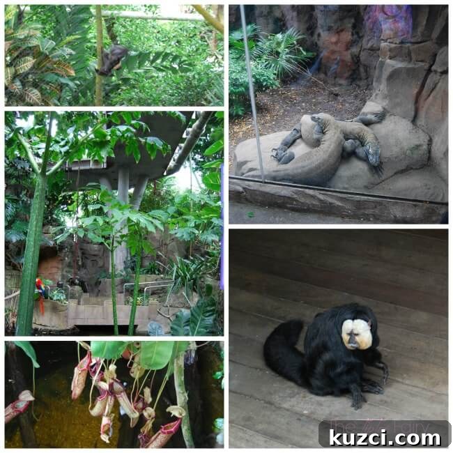 Moody Gardens in Galveston: What to See and Do 7 Rainforest detail