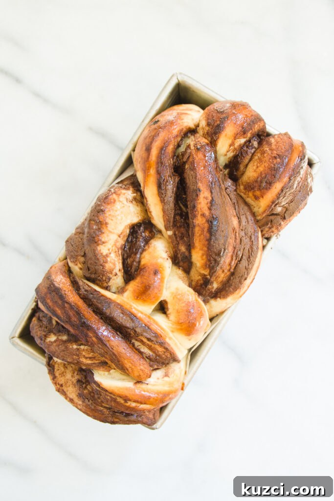 Chocolate Babka Recipe with Rich Chocolate Swirls 2 Homemade chocolate babka loaf with a rich chocolate swirl
