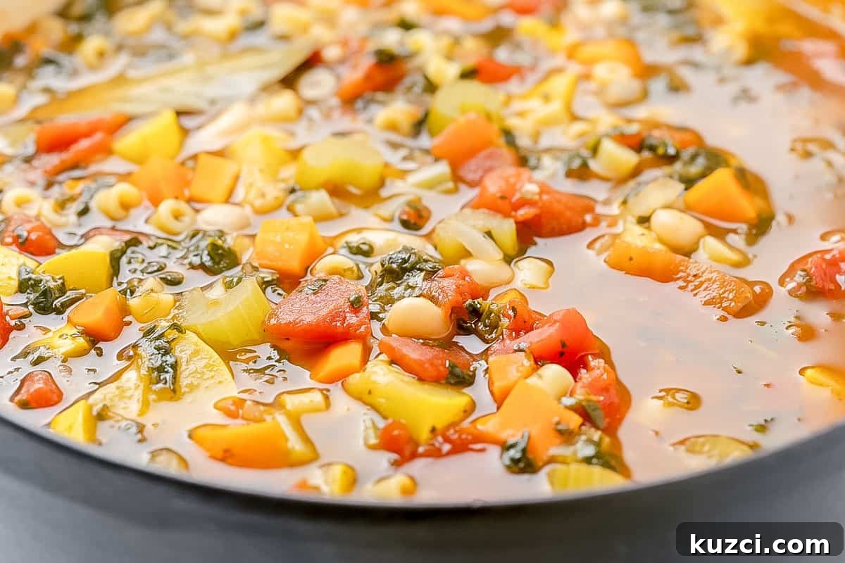 Close-up of a colorful vegetable soup with diced tomatoes, carrots, celery, squash, white beans, and pasta in a broth.