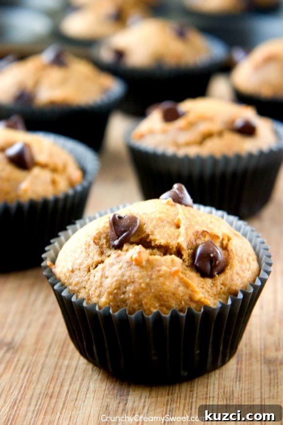 Chocolate Chip Pumpkin Muffins Skinny Chocolate Chip Pumpkin Muffins
