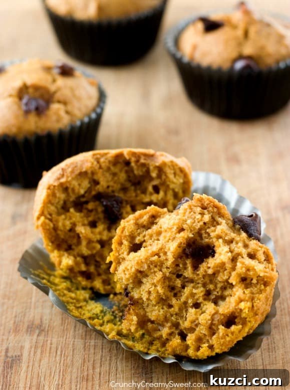 Chocolate Chip Pumpkin Muffins Skinny Chocolate Chip Pumpkin Muffins - soft and fluffy and so delicious