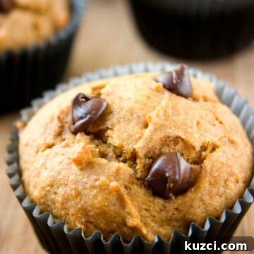 Pumpkin Chocolate Chip Muffins 2 Chocolate Chip Pumpkin Muffins