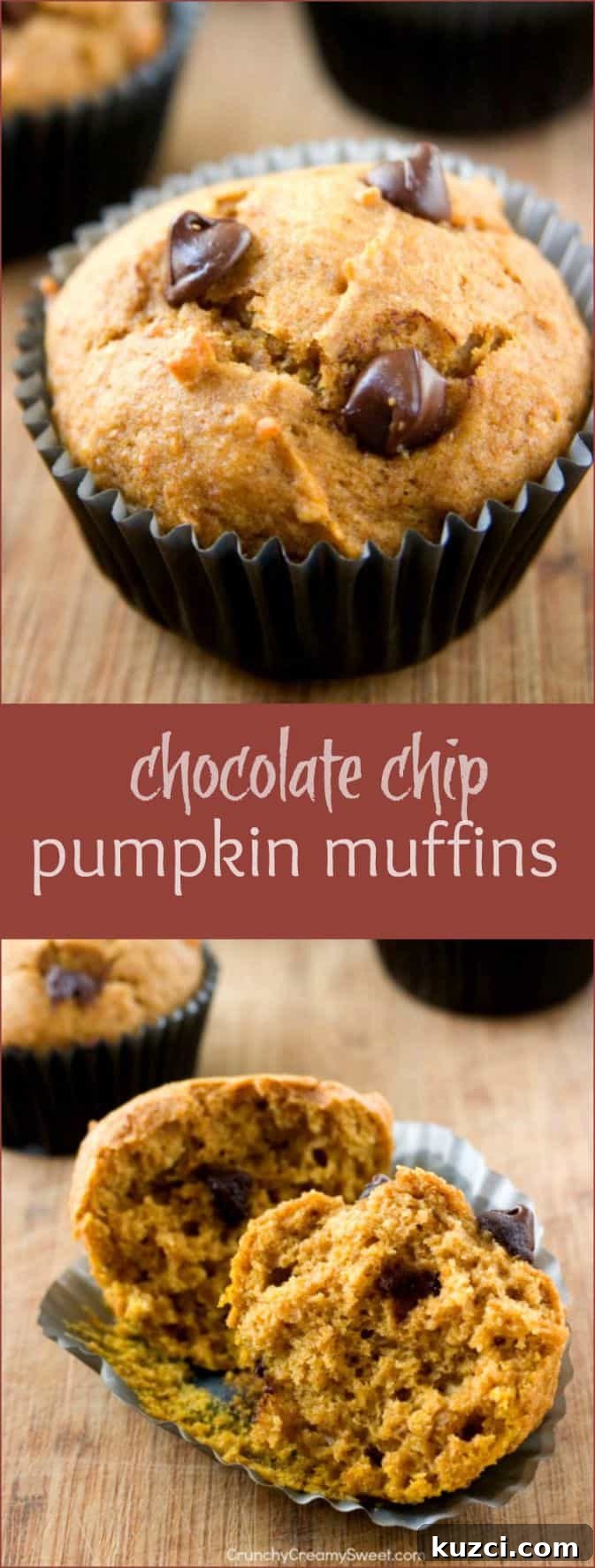 Chocolate Chip Pumpkin Muffins pumpkin muffins