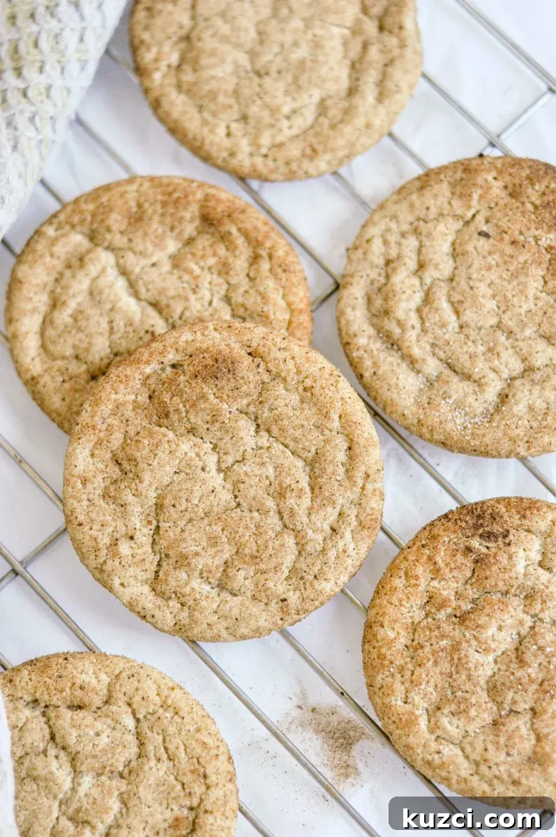 Soft, Chewy Gluten-Free Dairy-Free Snickerdoodles 2 Gluten-free snickerdoodle cookies