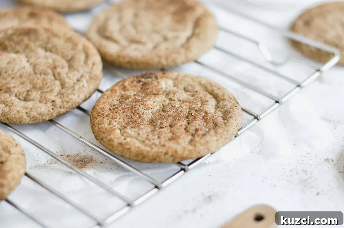 Soft, Chewy Gluten-Free Dairy-Free Snickerdoodles 3 Snickerdoodle close-up