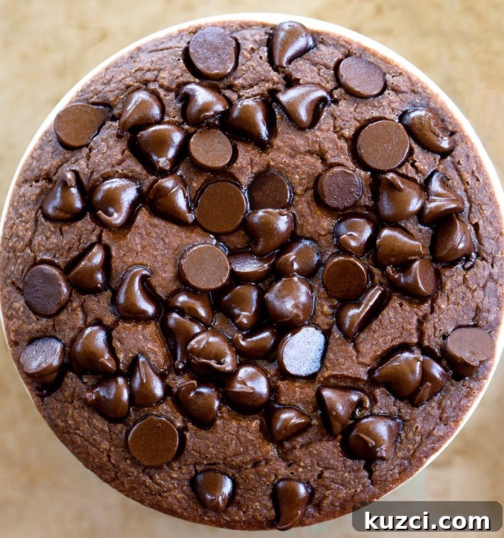 Baked Chocolate Oatmeal (TikTok)