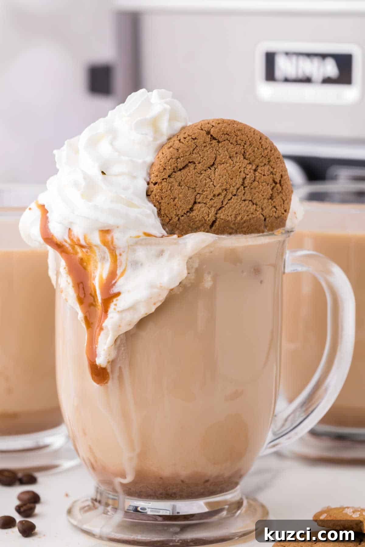 Gingerbread Latte Recipe for a Cozy Holiday Drink 7 The recipe with whipped cream and a cookie.